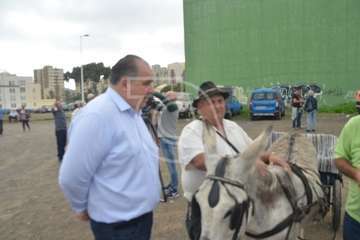 La feria de ganado, atractivo principal de la jornada matutina en Jinámar (Foto Antonio Alí y Francisco Javier Santana)